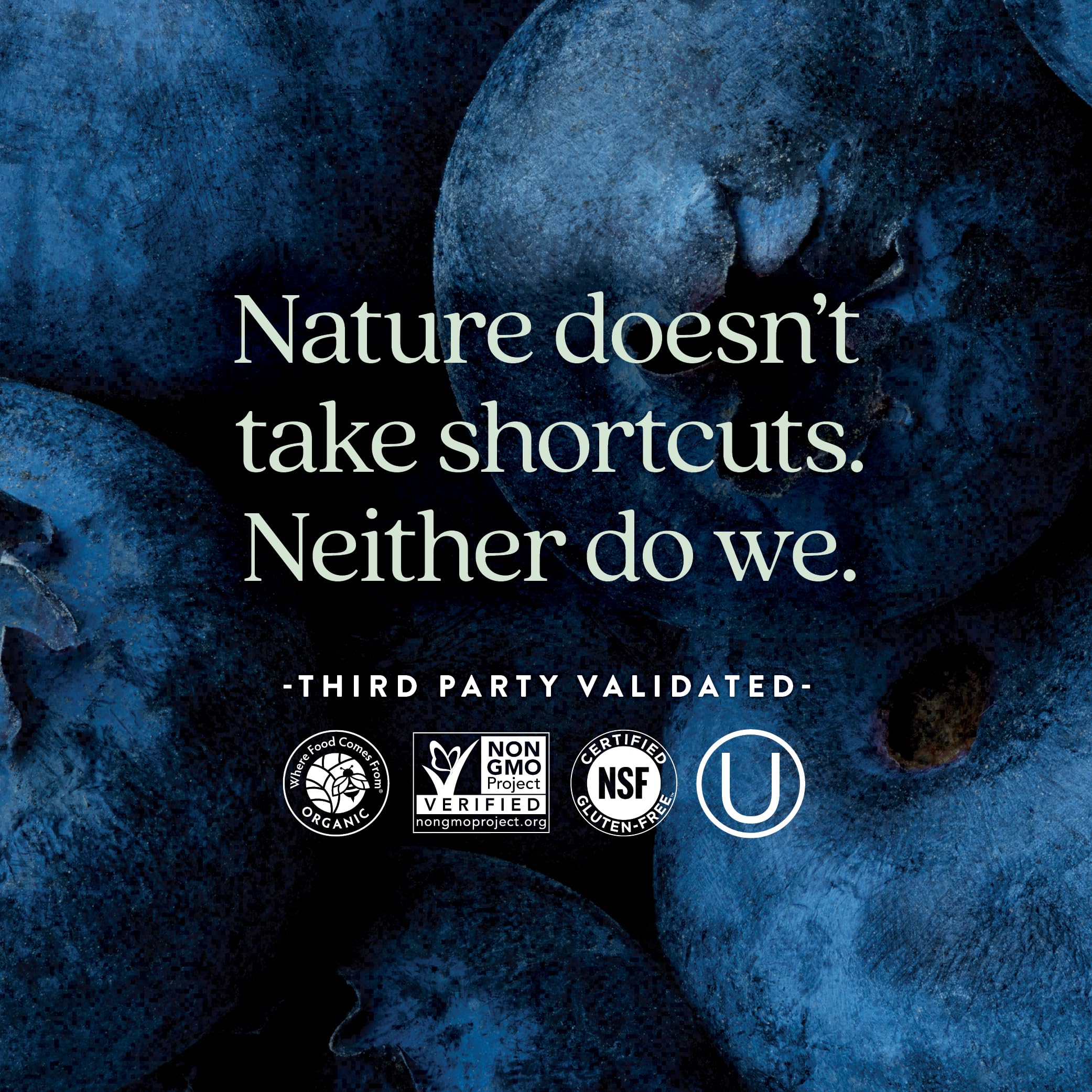 New Chapter Advanced Perfect Prenatal Vitamins, 192ct, Made with Organic, Non-GMO Ingredients for Healthy Baby & Mom - Folate (Methylfolate), Whole-Food Fermented Iron, Vitamin D3 + Ginger - Image 5