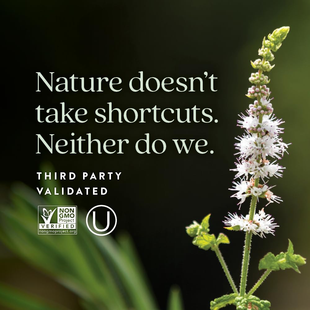 New Chapter All-Flora Probiotic Menopause Balance, Ultra-Concentrated Probiotics for Women with Black Cohosh for Menopause Hot Flashes, 100% Vegan, 30 Vegan Capsules - Image 5