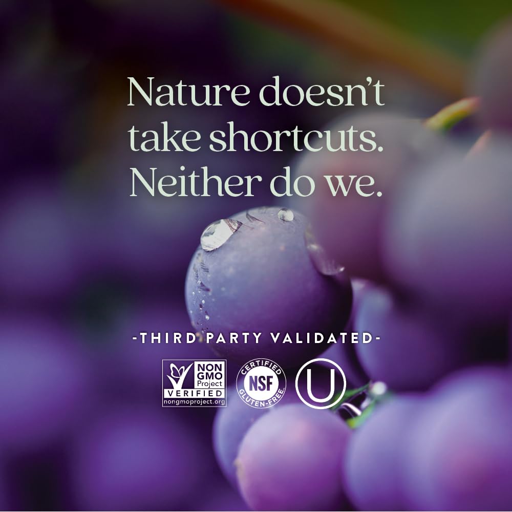 New Chapter Blood Pressure Supplement - Blood Pressure Take Care with Organic, Vegan Grapeseed + Black Currant + Non-GMO Ingredients for Blood Pressure Support - 60 Count - Image 5