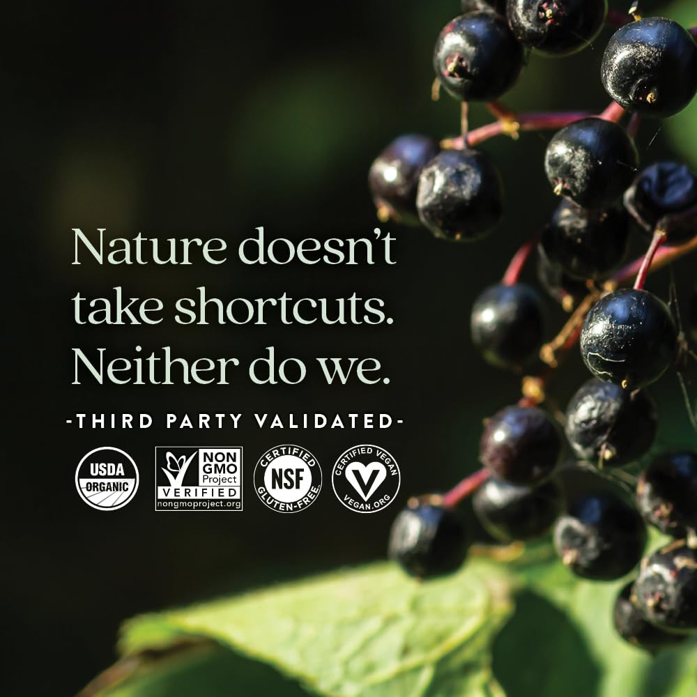 New Chapter Elderberry Gummies for Adults & Kids (2+), USDA Organic 64x Concentrated Elderberry for Immune Support, Great-Tasting Whole-Food Gummies, Vegan & Non-GMO - 60 ct - Image 5