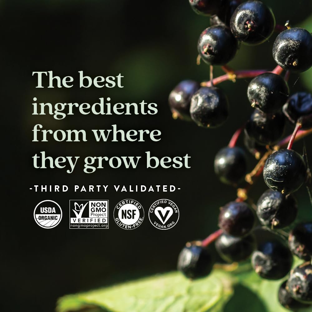 New Chapter Elderberry Gummies for Kids 2+, USDA Organic,64x Concentrated Pure Elderberry for Immune Support,Great Tasting Whole-Food Gummies, Vegan & Non-GMO, 30 ct - Image 5