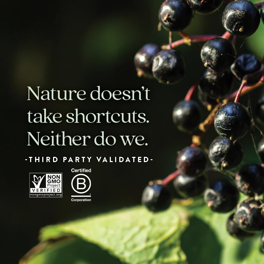 New Chapter Elderberry Kids Syrup, Advanced Immune Defense for Ages 2+, 64x Concentrated Elderberry, Sweetened with Throat-Soothing Grade A Honey, Non-GMO Project Verified, 4 Fl Ounce - Image 5