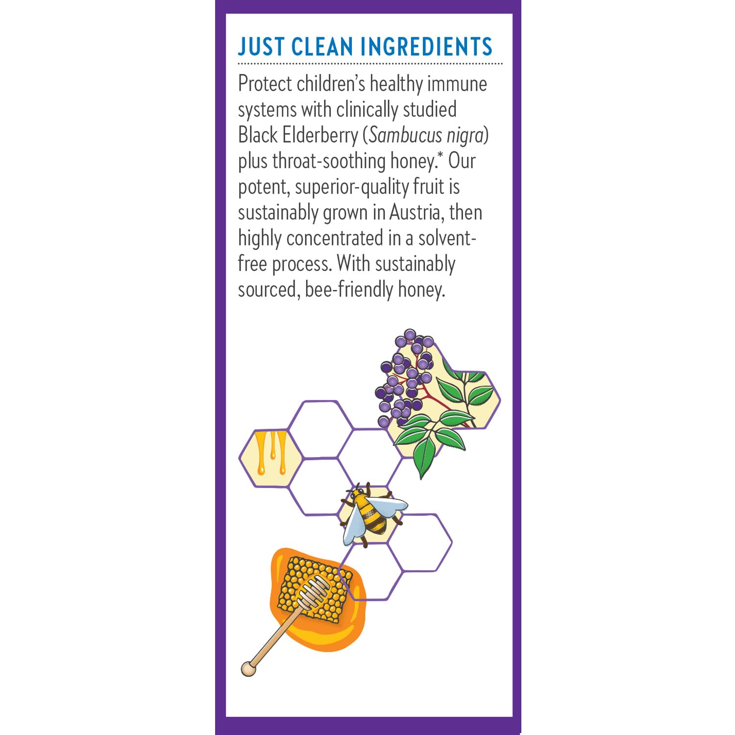 New Chapter Elderberry Kids Syrup, Advanced Immune Defense for Ages 2+, 64x Concentrated Elderberry, Sweetened with Throat-Soothing Grade A Honey, Non-GMO Project Verified, 4 Fl Ounce - Image 7