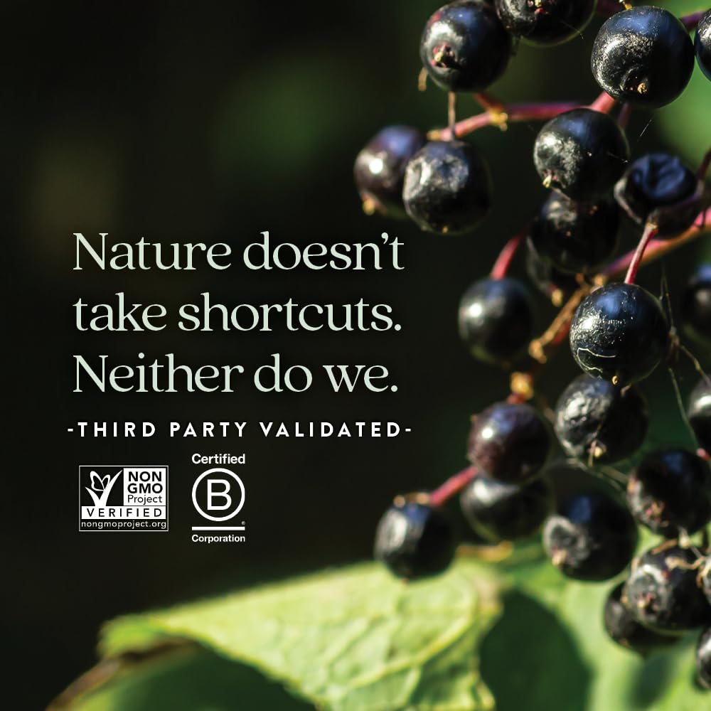 New Chapter Elderberry Syrup, 24 Servings, Immune Defense for Adults & Kids (2+), 64x Concentrated Black Elderberry + Throat-Soothing Grade A Honey, Non-GMO Project Verified, Gluten Free - Image 5