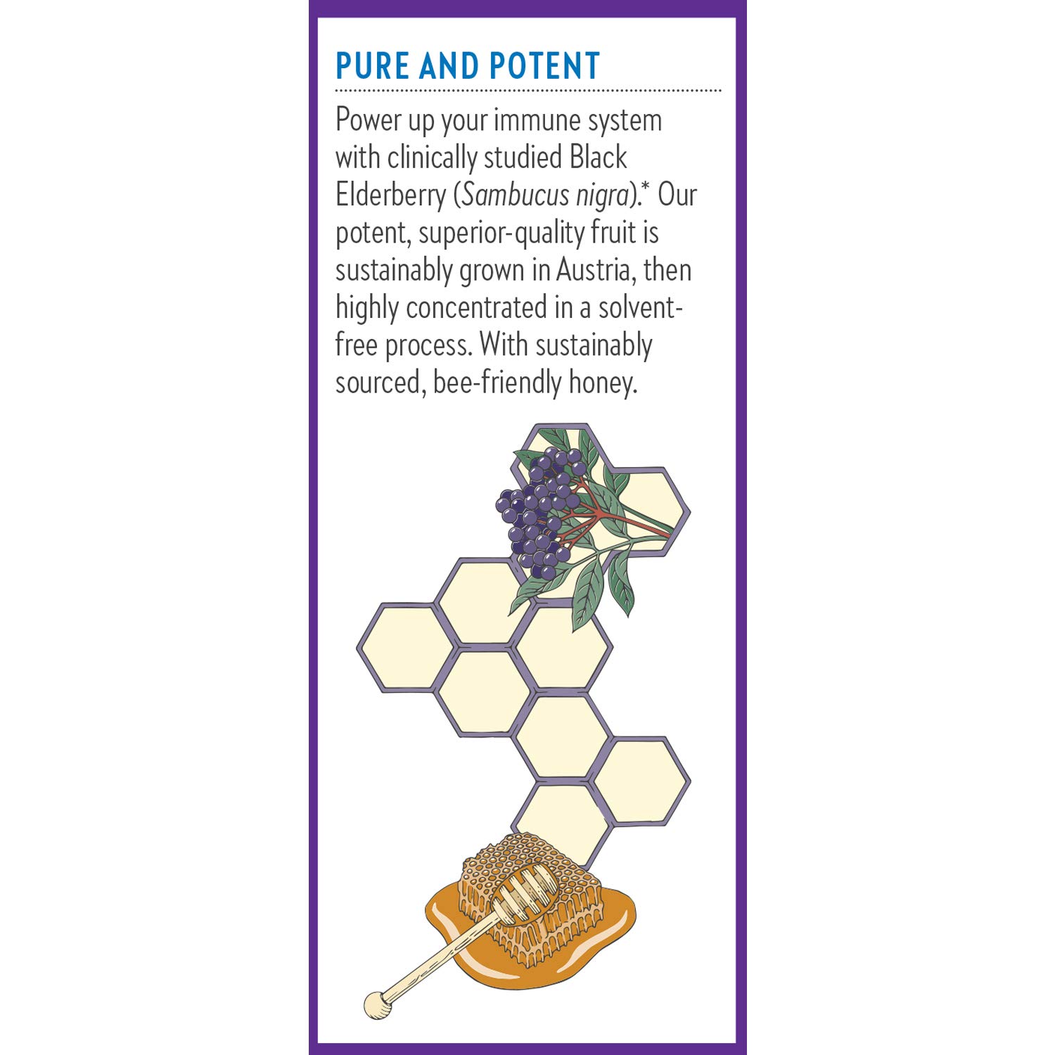 New Chapter Elderberry Syrup, 24 Servings, Immune Defense for Adults & Kids (2+), 64x Concentrated Black Elderberry + Throat-Soothing Grade A Honey, Non-GMO Project Verified, Gluten Free - Image 7