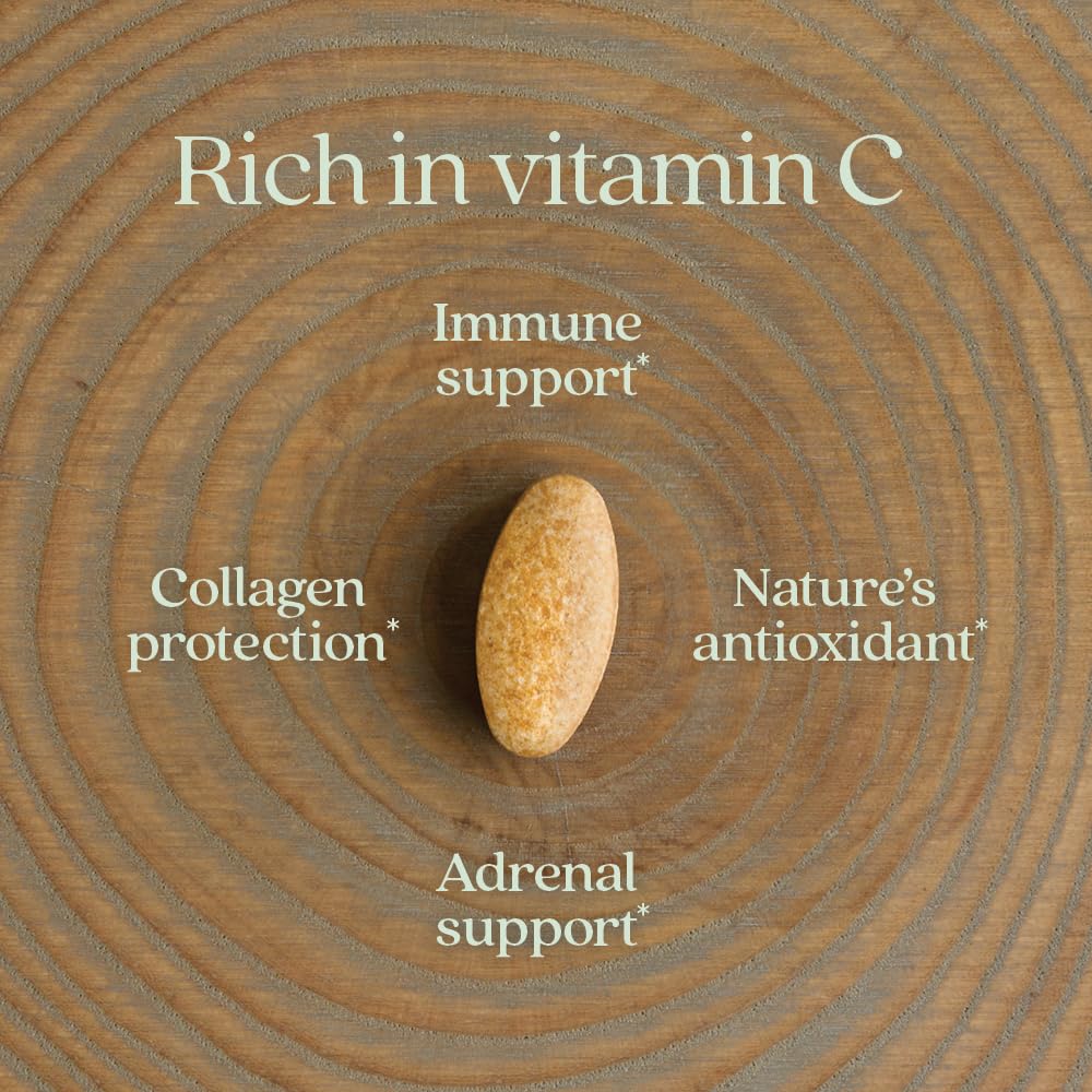 New Chapter Fermented Vitamin C + Elderberry, ONE Daily for Immune Support & Collagen Protection, Made with Organic Herbs, Certified Vegan, Gluten Free, 60 Count - Image 4