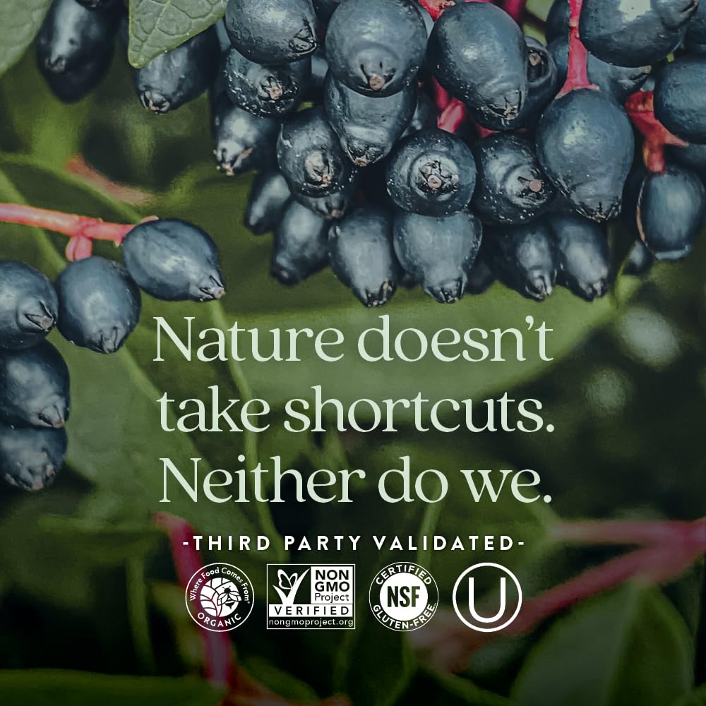 New Chapter Fermented Vitamin C + Elderberry, ONE Daily for Immune Support & Collagen Protection, Made with Organic Herbs, Certified Vegan, Gluten Free, 60 Count - Image 5