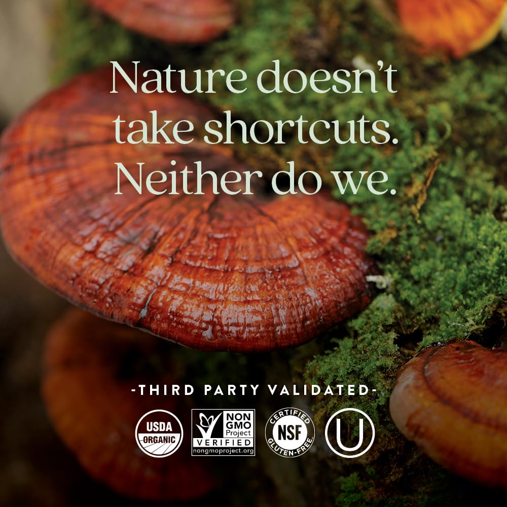 New Chapter Fermented Vitamin D3 2,000 IU, Organic, ONE Daily for Immune, Heart & Bone Support + Whole-Food Turmeric, Adaptogenic Reishi Mushroom, 100% Vegetarian, Gluten Free, 60 Count - Image 5