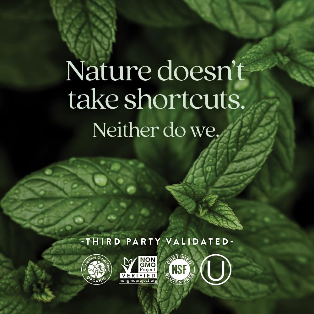 New Chapter Iron Supplement, Whole-Food Fermented Iron Complex Made with Organic Vegetables & Herbs + One Daily Non-Constipating Dose- 60ct, 2 Month Supply - Image 5