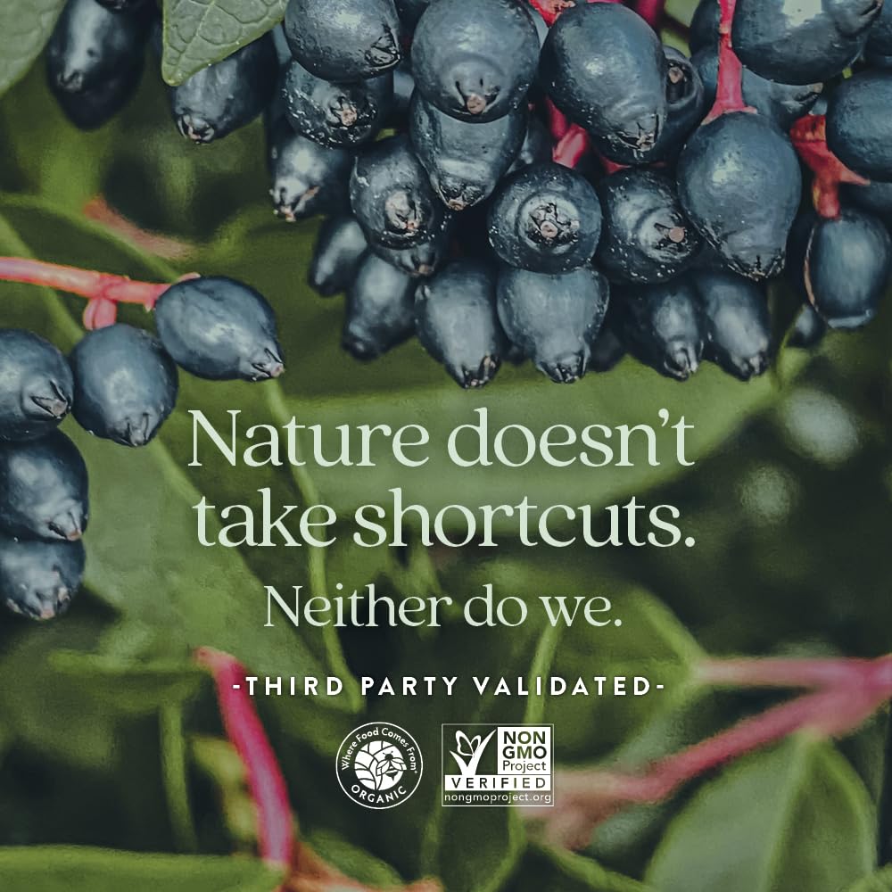 New Chapter Men’s Multivitamin Gummies, 57% Less Sugar, Men’s Gummy Vitamins with Vitamin C, D3 & Zinc, Non-GMO, Gluten Free, Berry-Citrus, 75ct - Image 7