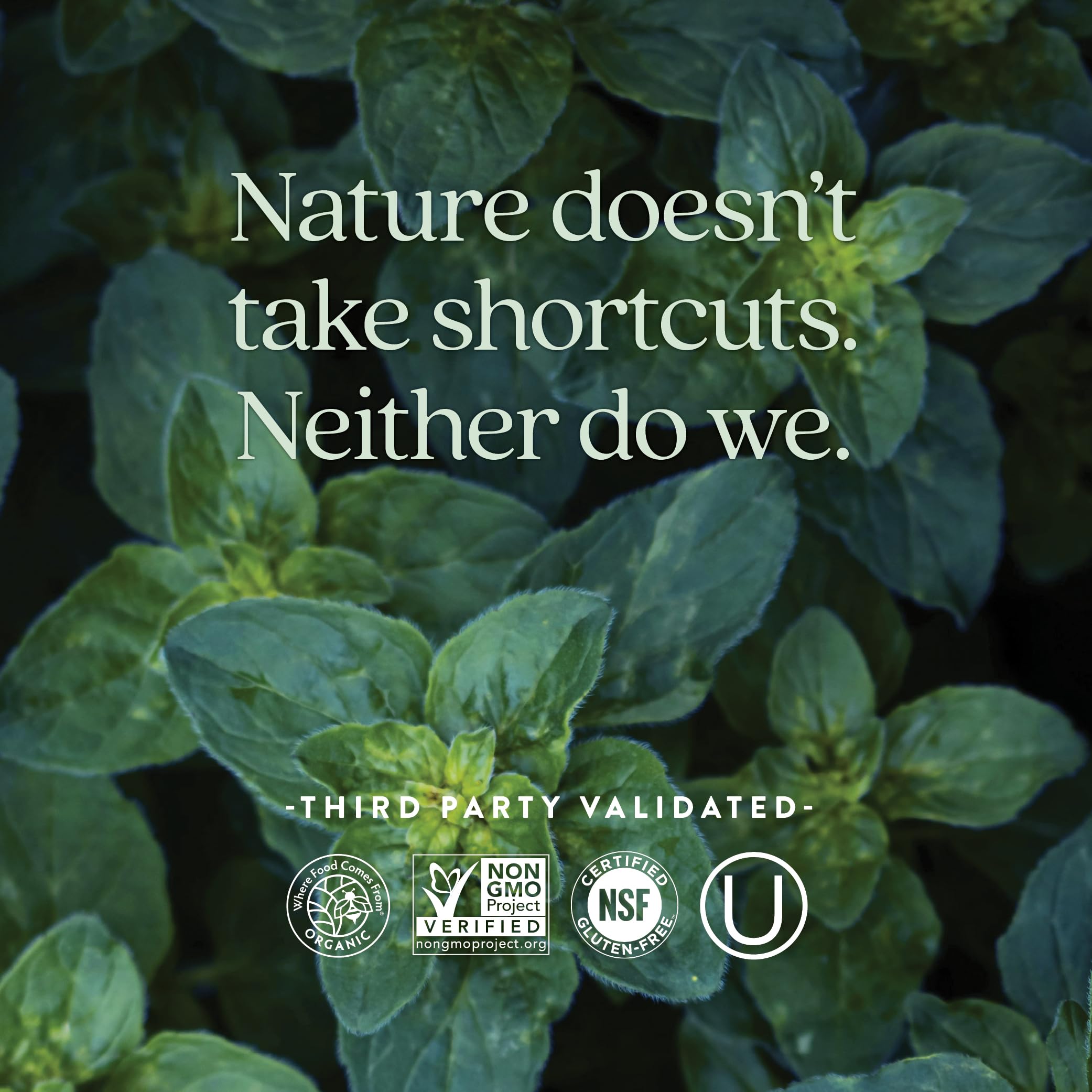 New Chapter Men’s Multivitamin 40+, Extra B6 & B12, D3, Vitamin C & Zinc, Immune, Heart, Cellular Energy, and Brain Health, Gentle on The Stomach, One Daily, Non-GMO, Gluten-Free, 72 Tablets - Image 5