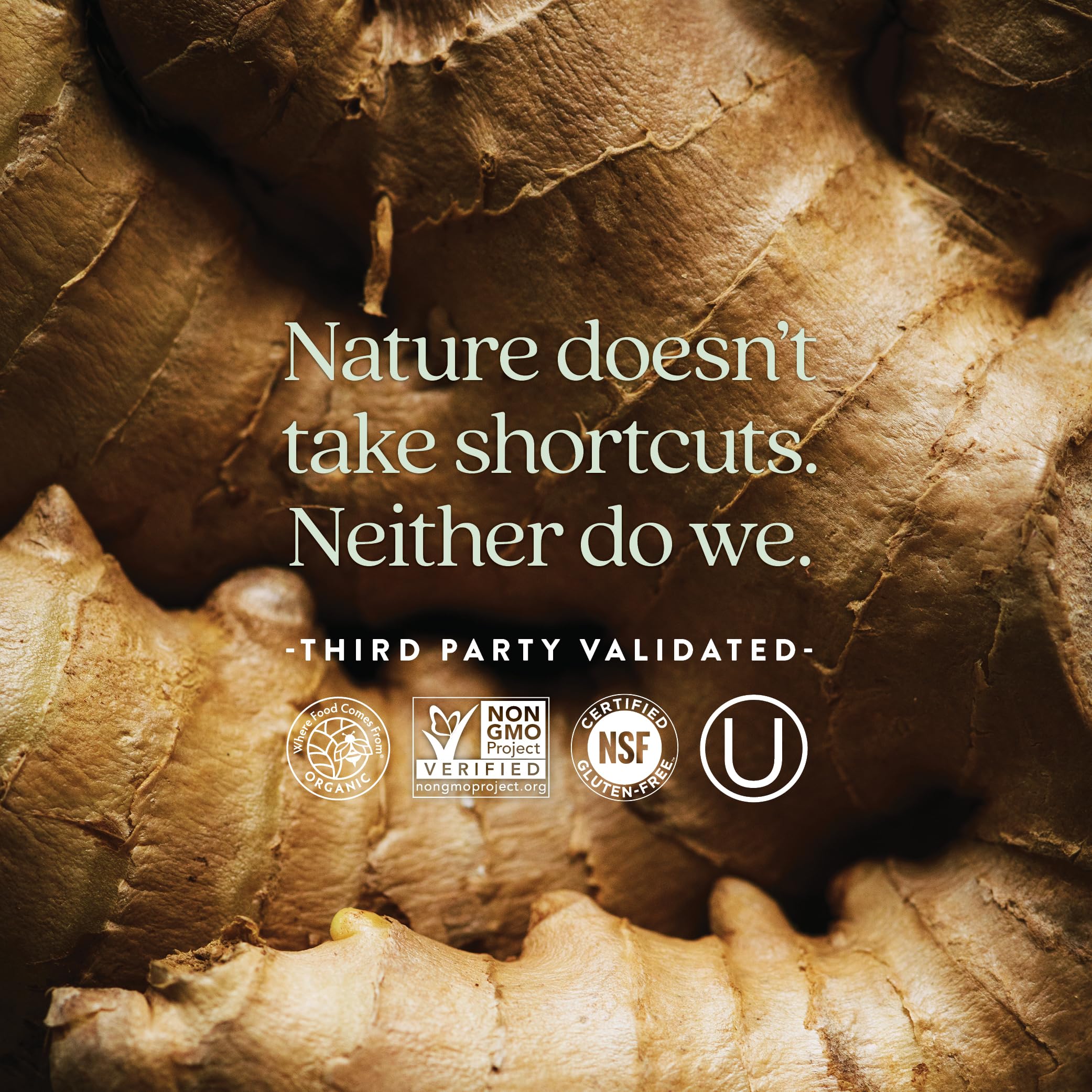 New Chapter Men’s Multivitamin, B6, Extra B12, D3, Vitamin C & Zinc, Immune, Heart, Cellular Energy, and Brain Health, Gentle on The Stomach, One Daily, Non-GMO, Gluten-Free, 18+, 72 Tablets - Image 5