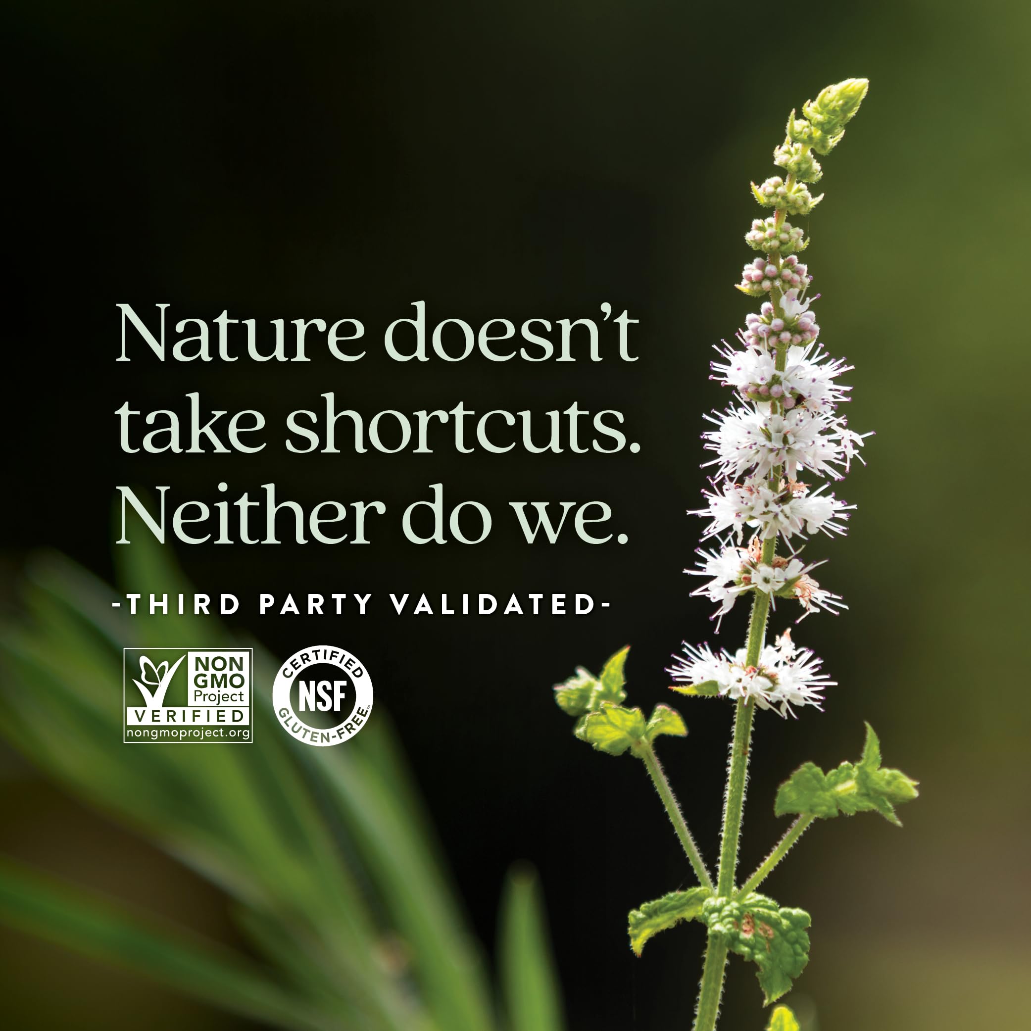 New Chapter Menopause Supplement - Estrotone Herbal Hormone Balance for Women in Perimenopause, with Black Cohosh for Hot Flash Relief & to Reduce Night Sweats + Vitex, No Added Hormones - 60 ct - Image 7