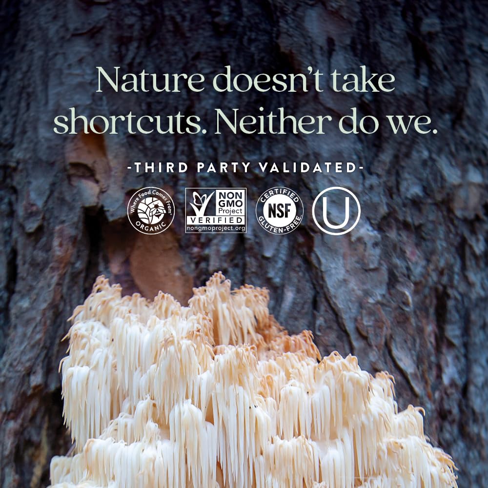 New Chapter Nerve Health Supplement for 3-in-1 Support from Head to Toe - Vitamin B1 Generates Energy for Nerves, Vitamin B6 Enhances Healthy Transmission, Vitamin B12 Builds Insulation, 30ct - Image 5