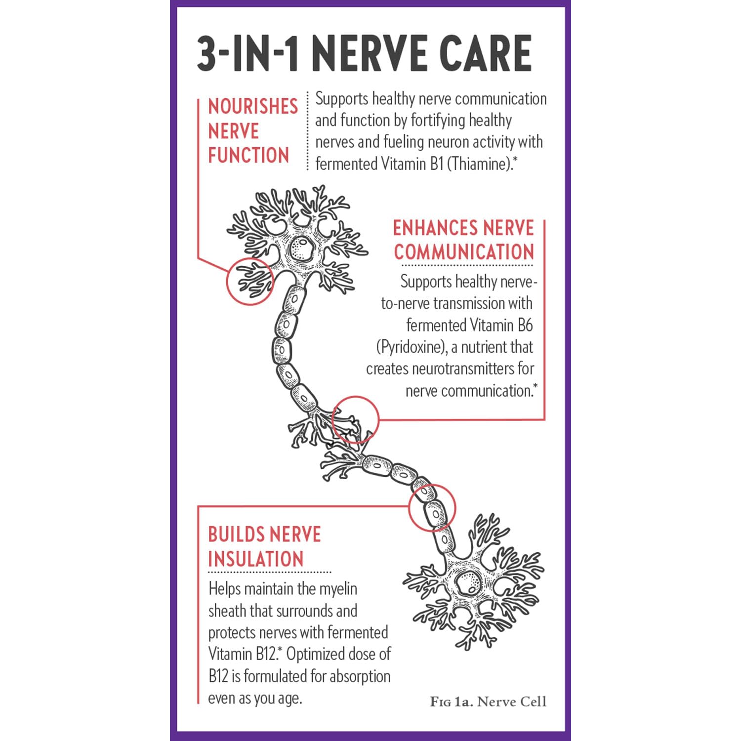 New Chapter Nerve Health Supplement for 3-in-1 Support from Head to Toe - Vitamin B1 Generates Energy for Nerves, Vitamin B6 Enhances Healthy Transmission, Vitamin B12 Builds Insulation, 30ct - Image 8