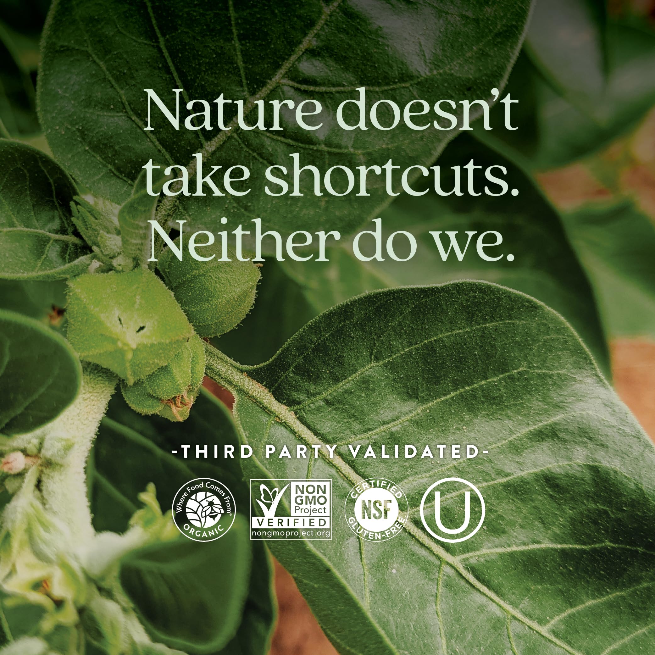 New Chapter Organic Ashwagandha Supplement, One Capsule a Day of Adaptogens for Stress Relief, Mood Support, & Energy, Vegan, 60 Count - Image 5