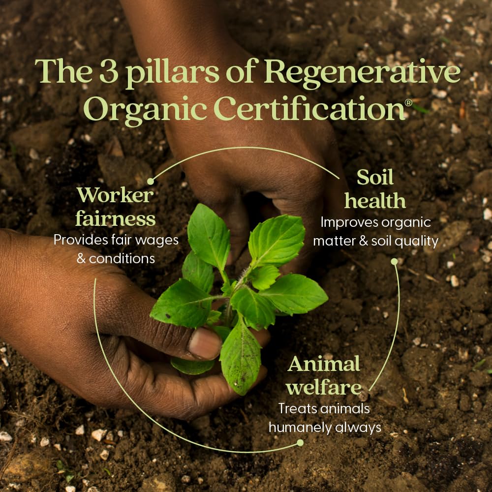 New Chapter Organic Holy Basil Booster Powder - Stress Relief, Cognitive Function, Memory, Immune Support Supplement - Regenerative Organic Certified Tulsi, 75 Servings - Image 3