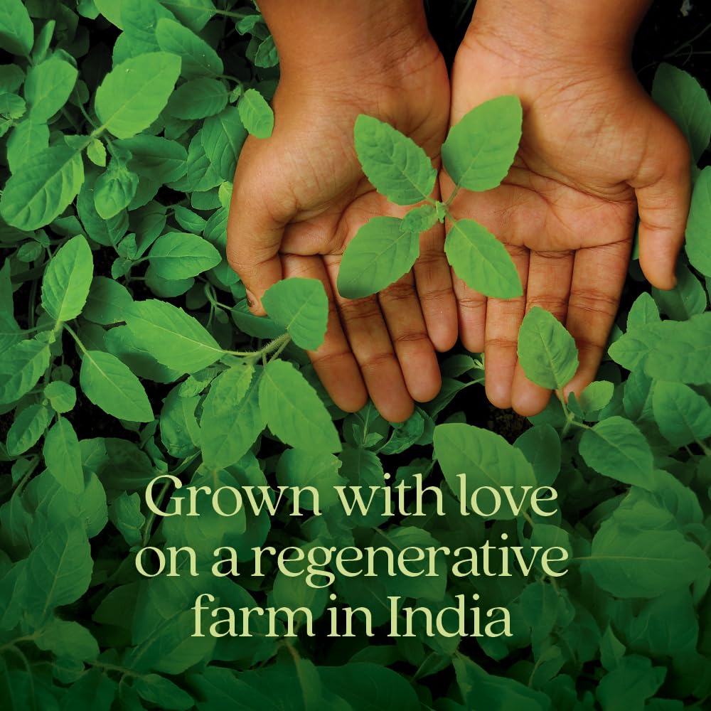 New Chapter Organic Holy Basil Booster Powder - Stress Relief, Cognitive Function, Memory, Immune Support Supplement - Regenerative Organic Certified Tulsi, 75 Servings - Image 7