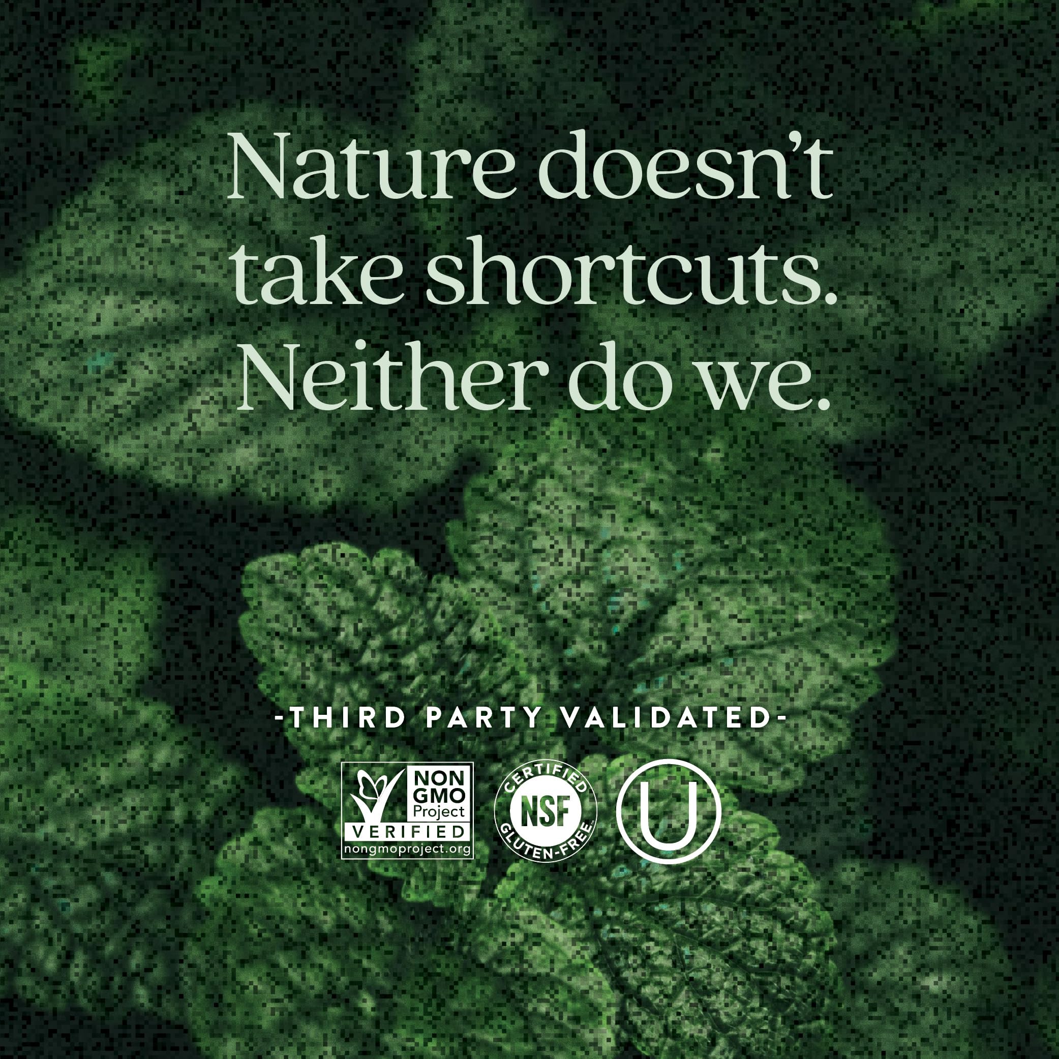 New Chapter Prenatal Vitamins, One Daily Prenatal Multivitamin Enhanced for Age 35+ with Methylfolate + Choline for Healthy Mom & Baby, Gluten Free & Non-GMO- 30 ct - Image 5