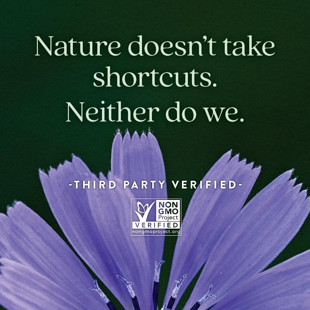 New Chapter Probiotic Gummies for Women and Men, All-Flora (1 Month Supply) – 55% Less Sugar+, Formulated for Holistic Gut Health Support with Probiotics + Prebiotic Fiber + 100% Vegan + Non-GMO - Image 5