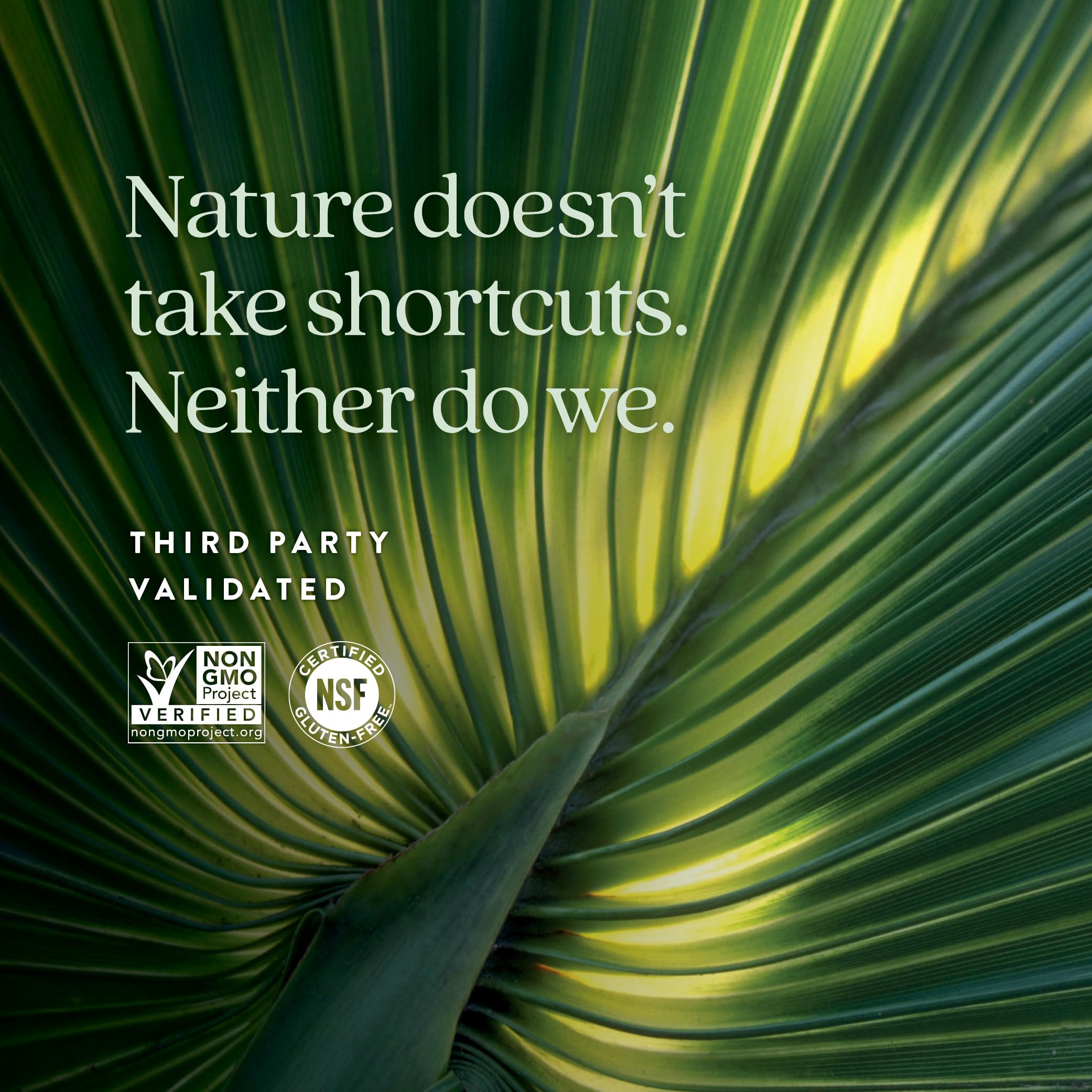 New Chapter Prostate Supplement - Prostate 5LX™ with Clinical Strength Saw Palmetto + Fermented Selenium for Men’s Wellness - 180 ct Vegetarian Capsule - Image 5