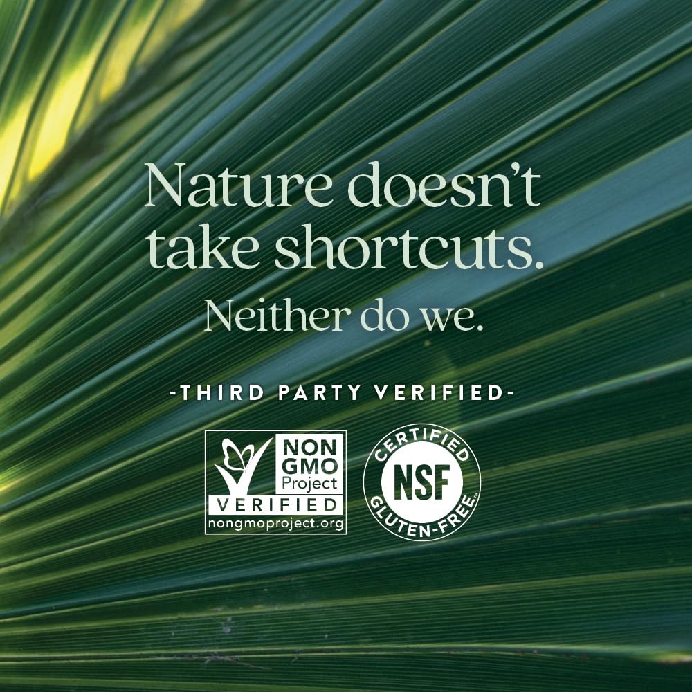 New Chapter Prostate Supplement Zyflamend Prostate with Saw Palmetto + Pumpkin Seed Oil + Turmeric for Prostate Health Vegetarian Capsule, 60 Count - Image 5