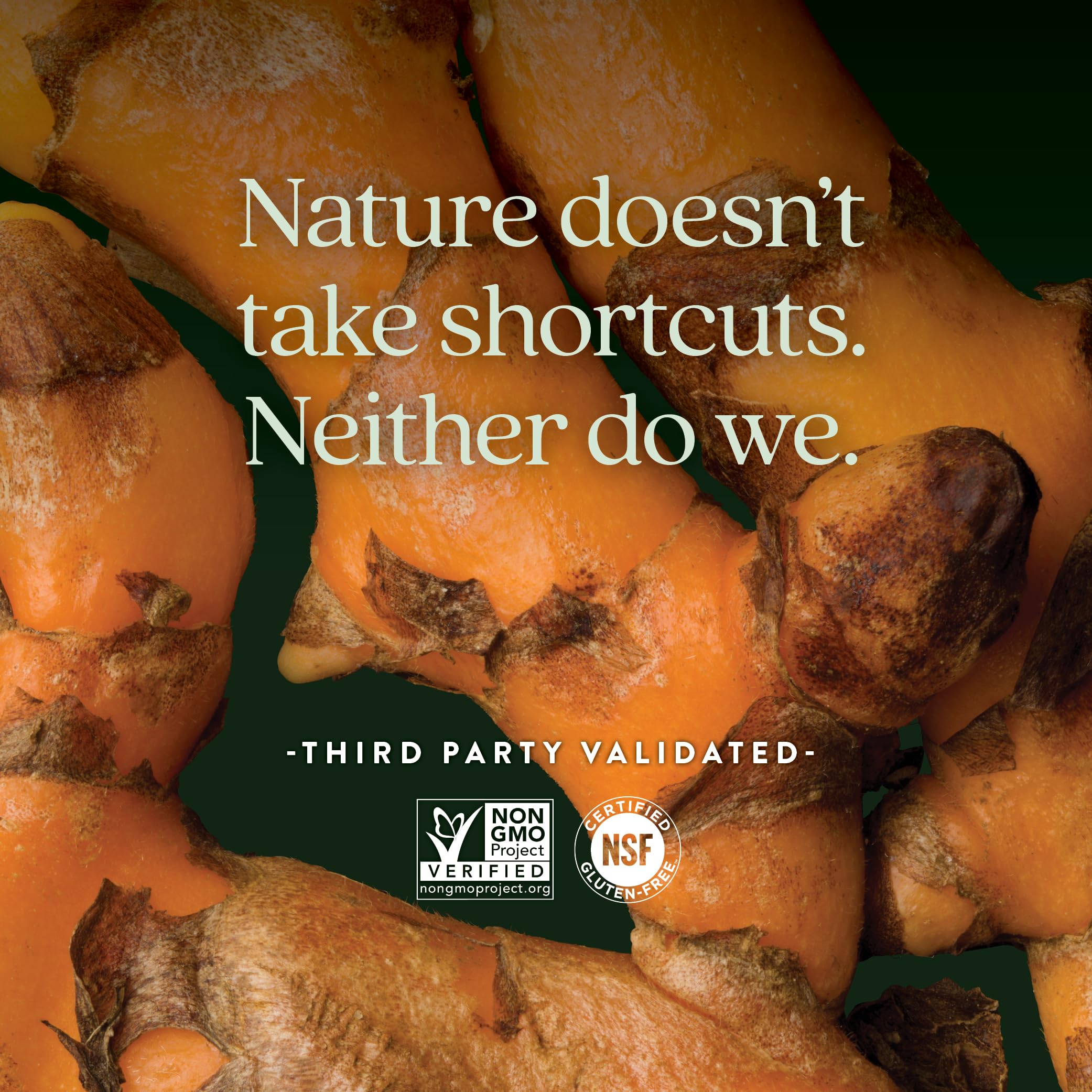 New Chapter Turmeric Supplement + Sleep Aid - Turmeric Force Nighttime for Sleep Support with Valerian Root + Ginger + NO Black Pepper Needed + Non-GMO Ingredients - 60 Vegetarian Capsule - Image 5