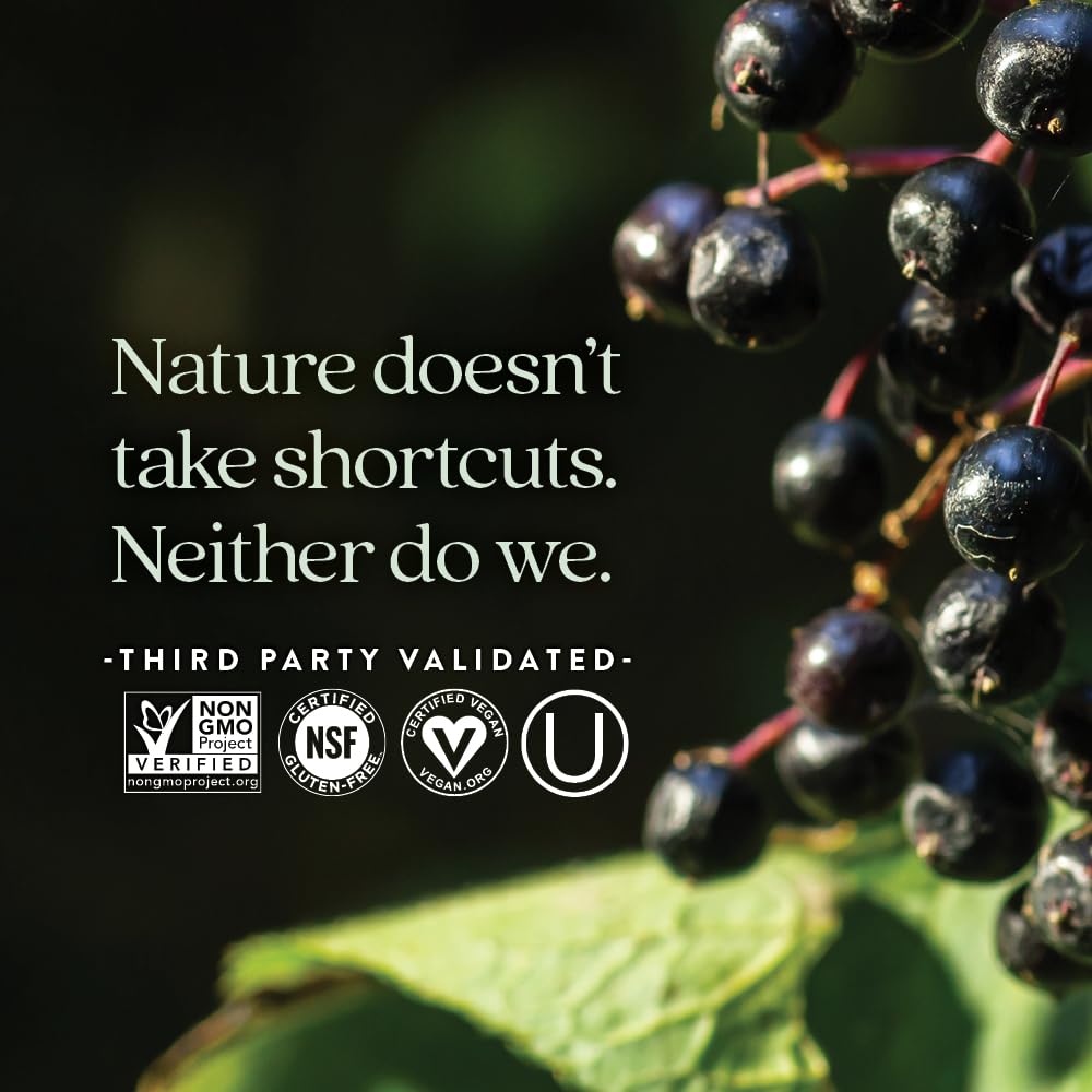 New Chapter Vegan Elderberry Capsules with 64x Concentrated Black Elderberry + Black Currant for Comprehensive Immune Support, Non-GMO Project Verified, Gluten Free, Certified Vegan, 30 Count - Image 5