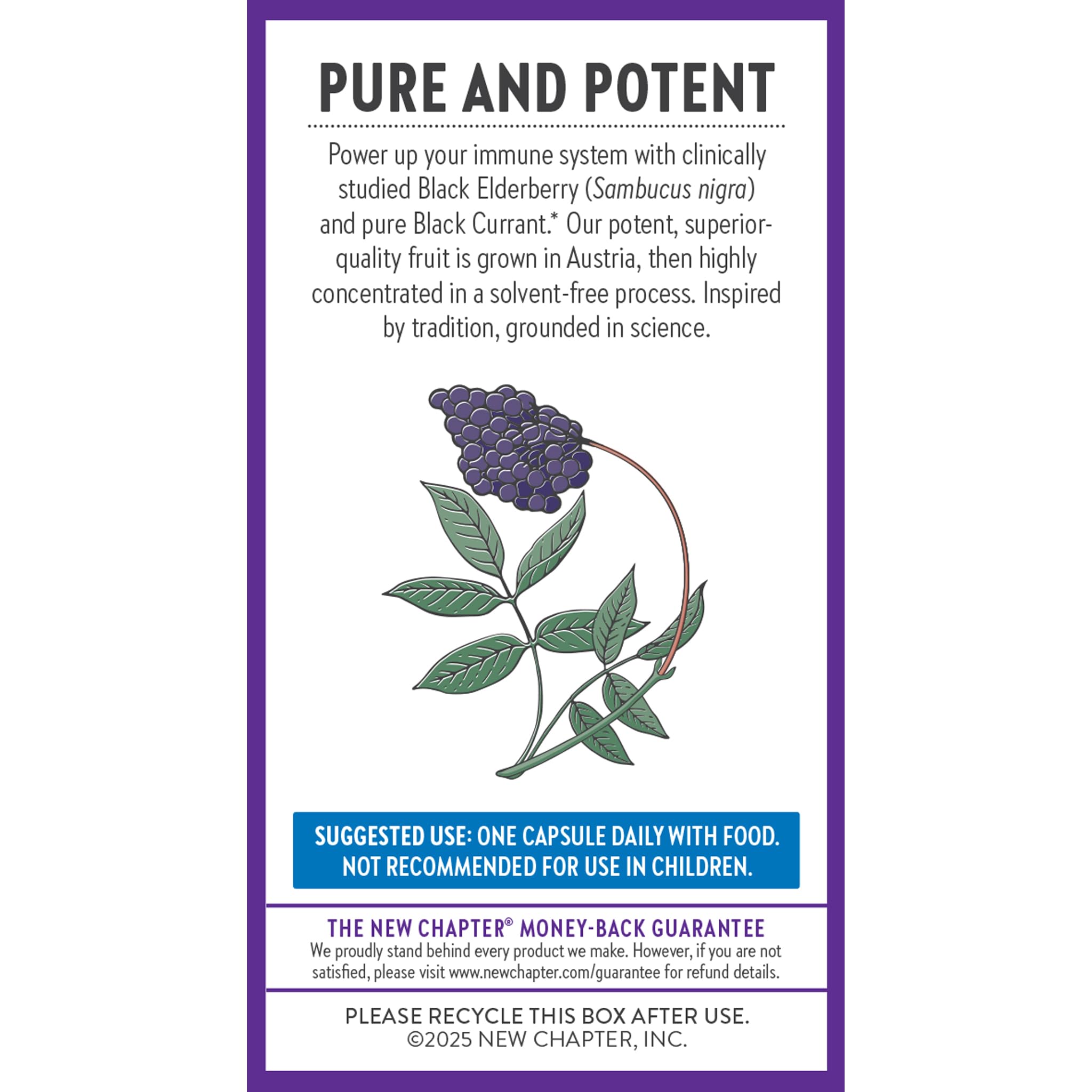 New Chapter Vegan Elderberry Capsules with 64x Concentrated Black Elderberry + Black Currant for Comprehensive Immune Support, Non-GMO Project Verified, Gluten Free, Certified Vegan, 30 Count - Image 7