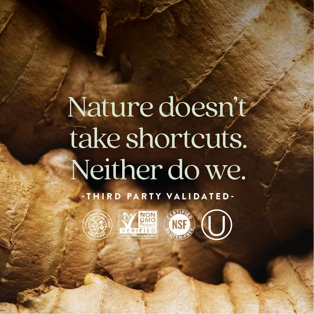 New Chapter Vitamin B Complex Fermented Coenzyme B Complex Rich in Vitamin B12 + Vitamin B6 + Biotin + Made with Organic Ingredients - 90 ct - Image 5