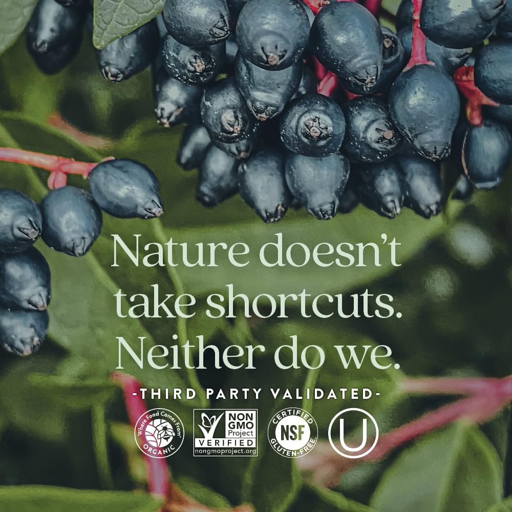 New Chapter® Vitamin C Immune Defense Supplement + Elderberry – Excellent Source of Vitamin C, One Daily Tablet for Healthy Immune Support, Made with Organic Herbs, Non-GMO, Gluten Free, 30 ct - Image 5